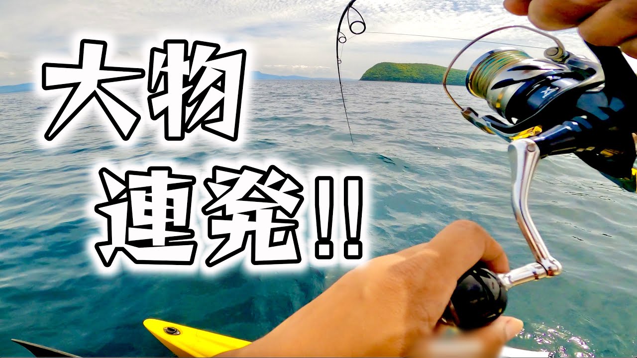 本日も大漁！ボート釣りで釣れる魚はデカくて楽しい！