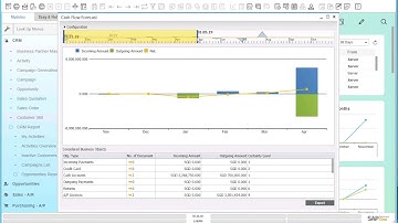 SAP Business One Demo - Cash Flow Forecast