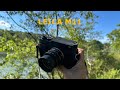 3 Years with my Leica M11 (2025)
