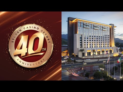 Day 5 of betting €10 every day on Black Jack #casino #shorts #blackjack