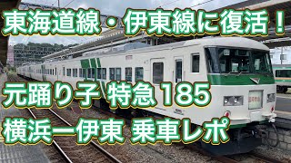 【元/踊り子】JR東日本 185系 特急「185」 横浜→伊東 乗車レポート JR-East 185 series Limited Express "185"  [4K]