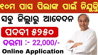 Odisha Block Level Job Vacancy 2024//10th Pass Apply Now//Block Level Job Updates in Odisha 2024