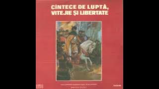 Corul si Orchestra Ansamblului 