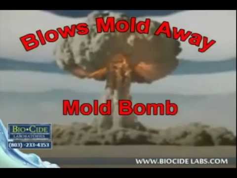 Mold Bomb Biocide Labs Blows Mold Away Call Today 803 233