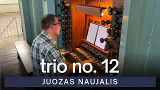 Juozas Naujalis - Trio No. 12 in A Major, Op. 4 | VU St. Johns Church