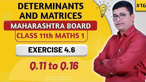 Determinants & Matrices | Exercise 4.6 | Q.11 to Q.16 I Maths I | Class 11th New Syllabus | P N Sir