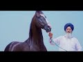 Punjab ~ Marwari Horse Kala Kanta Amitabh Bachchan है Kala Kanta घोड़ों की दुनिया का 😱😱😱😱😱