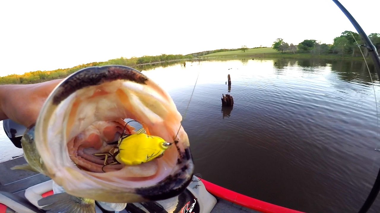 FROG and FINESSE Bass Fishing Challenge!!!
