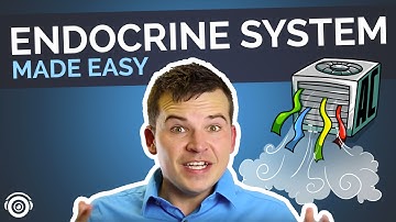 Endocrine System Overview | Nursing Review