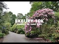 Exbury gardens 10k