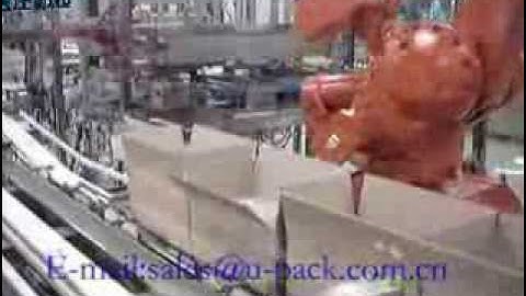 Video Pick&Place Robot for soft bags