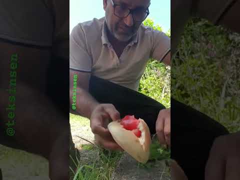 Acımdan Öldüm Diyen