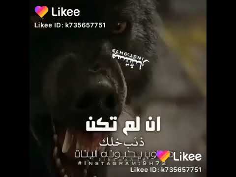 أحلى مقاطع حب قصيره اروع اغنية رومانسية حالات واتس اب حب بوس رومانسية جدا 18