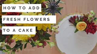 How to Add Fresh Flowers to a Cake  yoursassyself.com