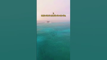 Giúp bạn lấy lại niềm tin và động lực cuộc sống |  Phần 3 #shorts