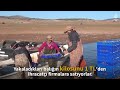 Bozkırın ortasındaki Yozgat'ta tuttukları balığı Avrupa'ya ihraç ediyorlar