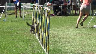 20180701 1 LM Schwanenstadt Mannschaft Angi mit Malou