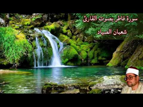 سورة فاطر بصوت الشيخ شعبان الصي اد  