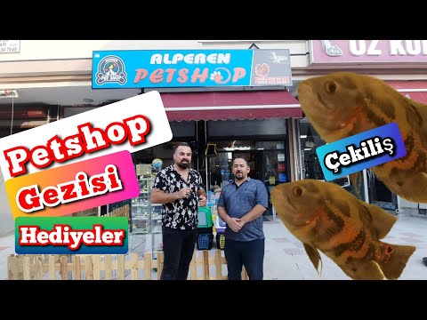 Petshop GEZİSİ !!!  Alperen Petshop Açılışa özel hediyeler !!!