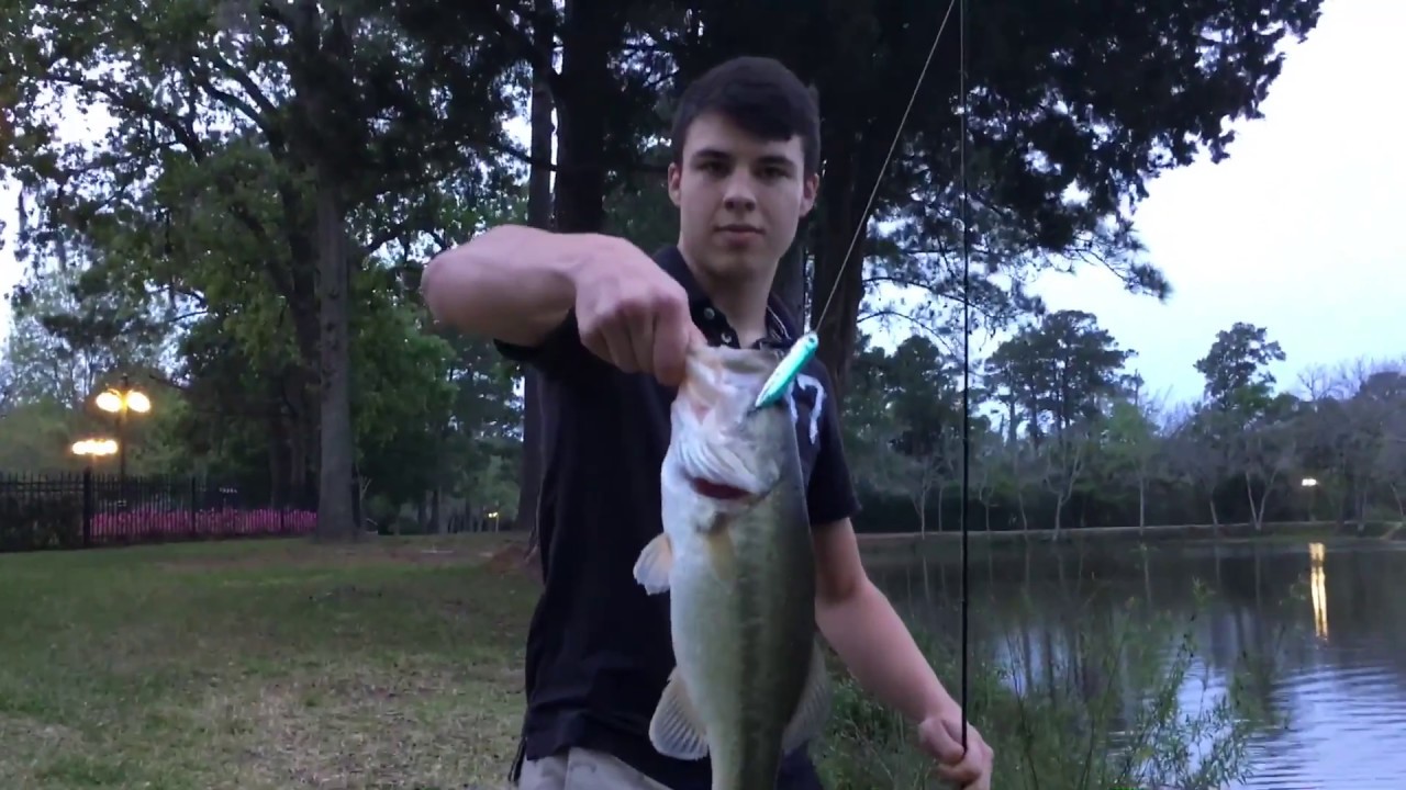 Fishing for Bass on Topwater 