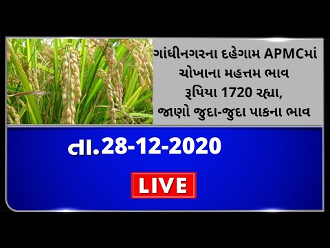 ગુજરાતની બધી જ APMCના તા.28-12--2020 દરેક પાકના ભાવ । TV9 NEWS
