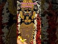 মা গো তোমার আশীবাদ মাথায় নিয়ে রাখব।#shorts #viral shorts #happywithsubhra #জয় মা