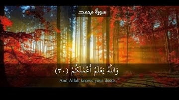 سورة محمد page 510 {القارئ أحمد العجمي}