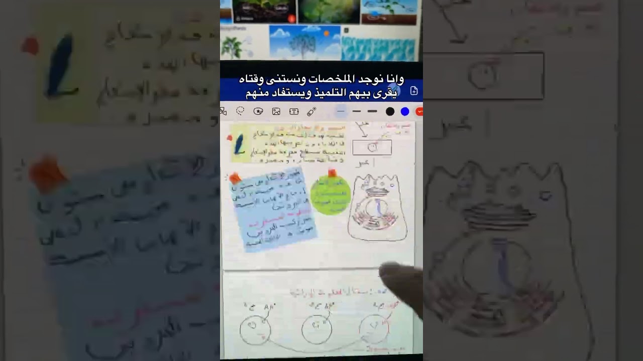 الملخصات راني متحمس وقتاه تقراوهم في زاد اكاديمي 🫡🫡🫡🫡🇩🇿