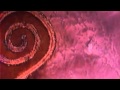 Spiral jetty 1970 extraction movie