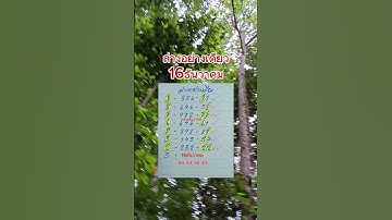 ล่างอย่างเดียว #คัดมาให้แล้ว #มะยมแดงนำโชค #fypシ