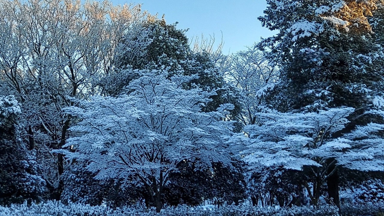 宮沢賢治　『雪渡り』第１章