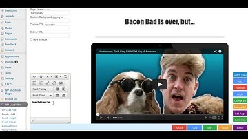 Step by Step Create a WP Lead Plus Page (Bacon Bad)