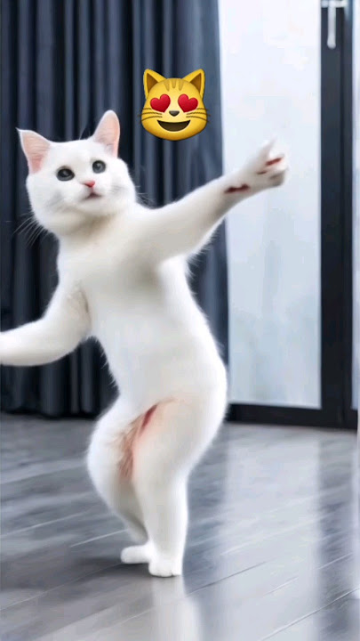 😻Kaathu Mela Super  Viral cat dance 🙀😻#dancingcat #shortsfeed #kaathumelasong #viralvideo