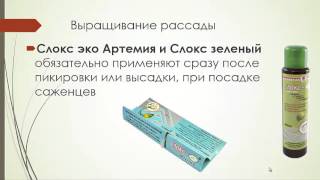 Выращивание рассады и уход за комнатными цветами(Как вырастить крепкую , здоровую рассаду легко, просто и с удовольствием. Уход за комнатными растениями...., 2016-02-20T12:26:05.000Z)