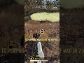 That spray got them real good 😂