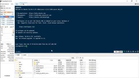 回复网友的 Finalshell的使用方法和trojan的v2ray改编版本
