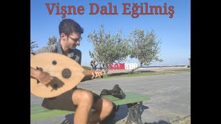 Vişne Dalı Eğilmiş Resimi