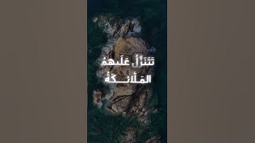 سورة  فصلت  ❤️