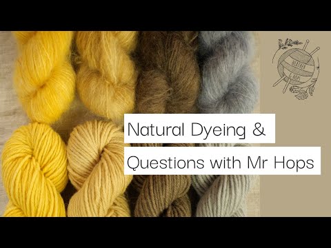 Mr Hops Gansey Update, Natural Dyeing and answering some questions | Heather u0026 Hops Knitting Podcast