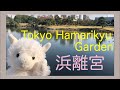 浜離宮恩賜庭園、日比谷神社など／汐留散歩【Tokyo Hamarikyu】