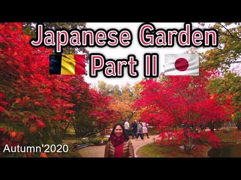 Video: Japanse Tuin (deel 2)