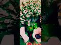 عقبال كل الشباب والبنات ليله الحنه