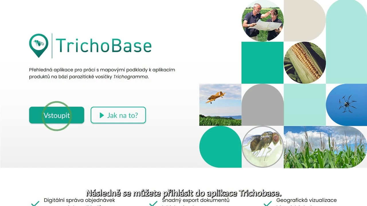 Návod na práci s databází TrichoBase