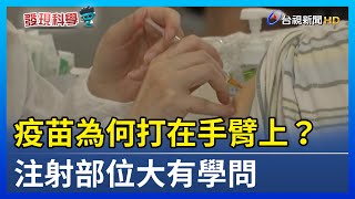 疫苗為何打在手臂上？注射部位大有學問【發現科學】 