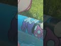 Boston Terrier Play Pool