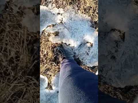 Walking on Ice Asmr - Type Video , on the Marshes at Bawdsey Quay , Uk 🇬🇧 😀 👌 👍❄️😃