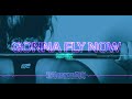 Capture de la vidéo Abrinaystudios - Conna Fly Now [Remix]