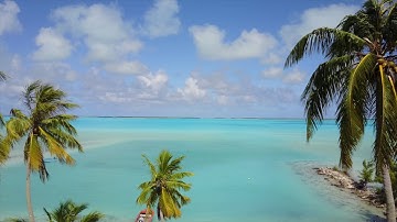 Using Drones for Aerial Surveys of Marine Megafauna