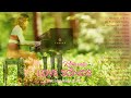 200 Romantic Love Songs in Piano - Most Old Beautiful Love Songs 80's 90's - Relaxing Music