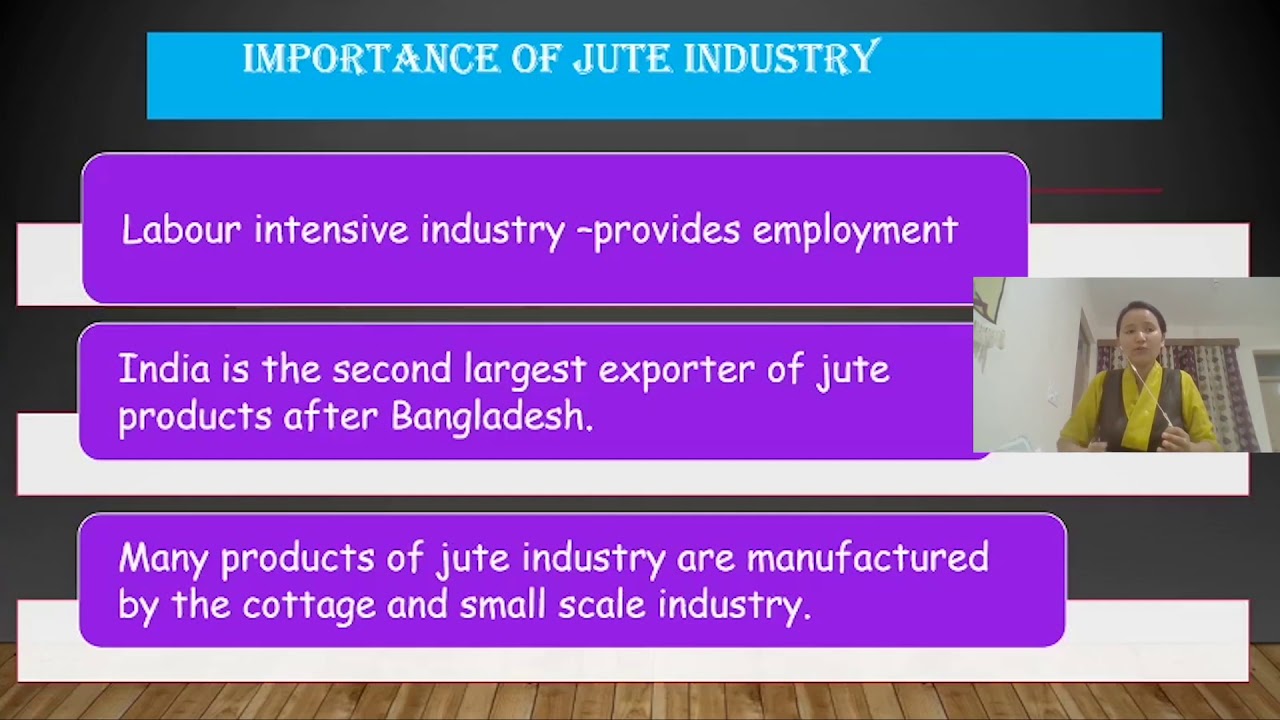 Class 10 Social Science Chapter 6 Manufacturing Industries. Part 5